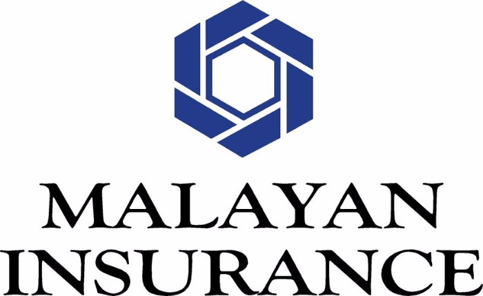 malayan travel insurance reddit